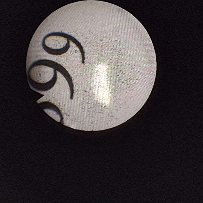 Richard Wolf 7305.001 Flexible Cystoscope