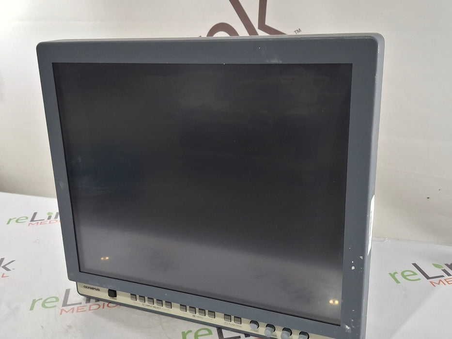 Olympus OEV191H Medical Display