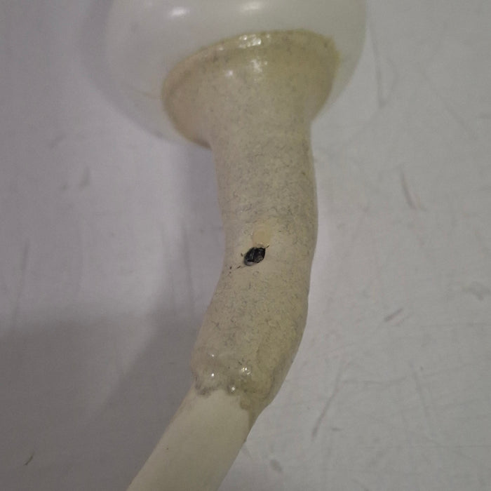 GE Healthcare E8C 2297883 Endocavity Transducer