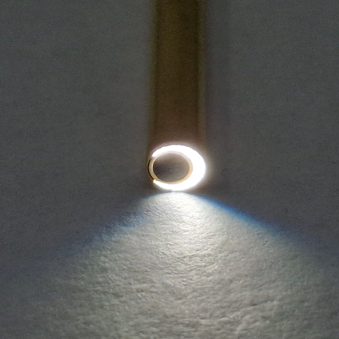 Olympus A4674A 30° & A4673A 12° Rigid Scopes