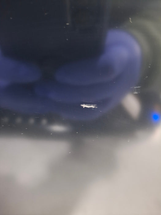 GE Healthcare Carescape B650 Critical Care Patient Monitor