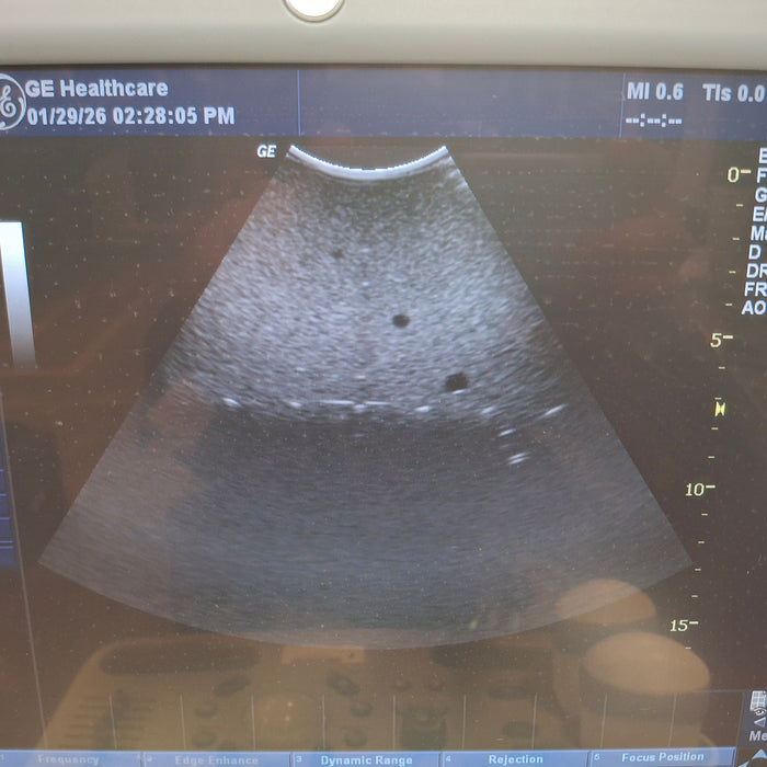GE Healthcare 4D3C-L  4D Curved Array Transducer