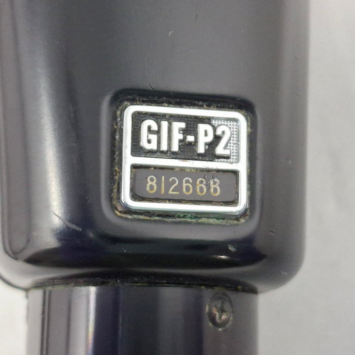 Olympus GIF-P2 Panendoscope