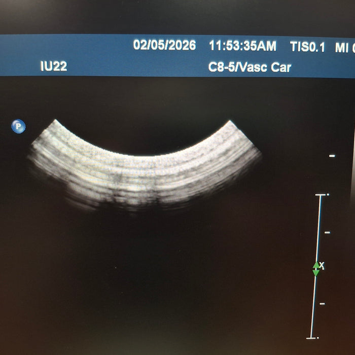Philips C8-5 Curved Array Transducer