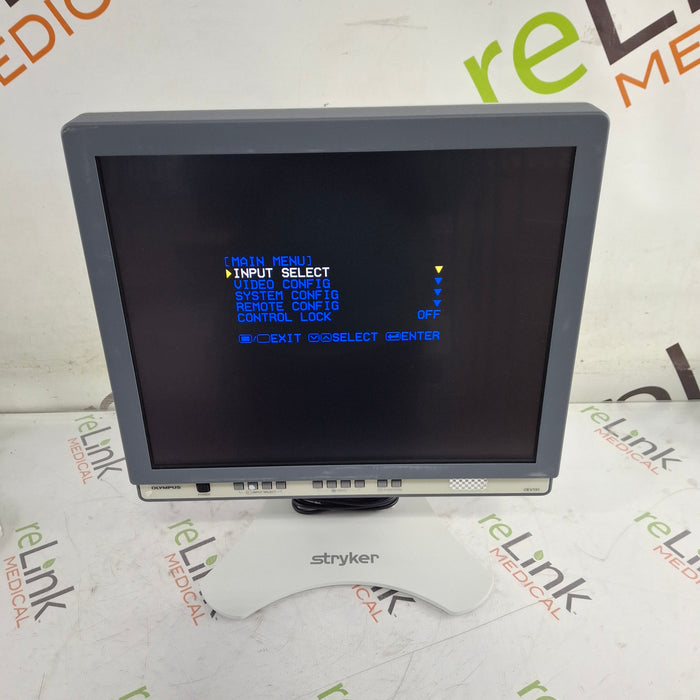 Olympus OEV191 Medical Display