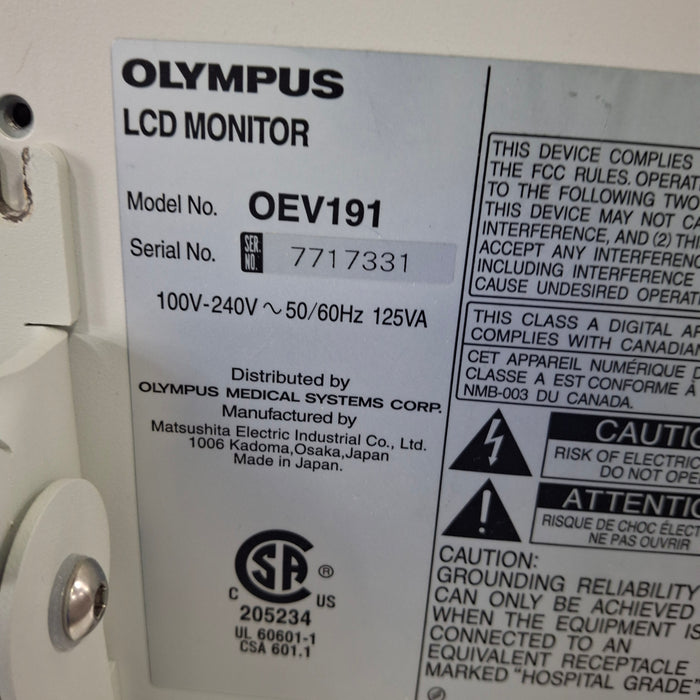 Olympus OEV191 Medical Display