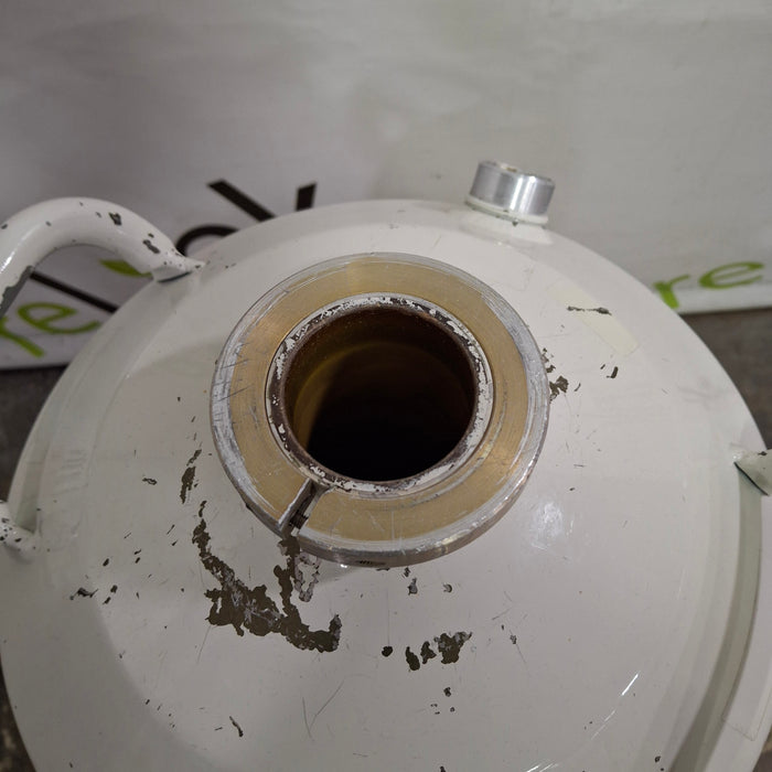 MVE Lab 20 Liquid Nitrogen Container