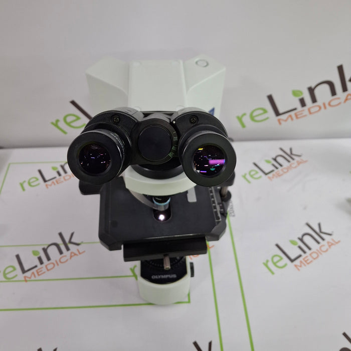 Olympus BX41TF Binocular Microscope