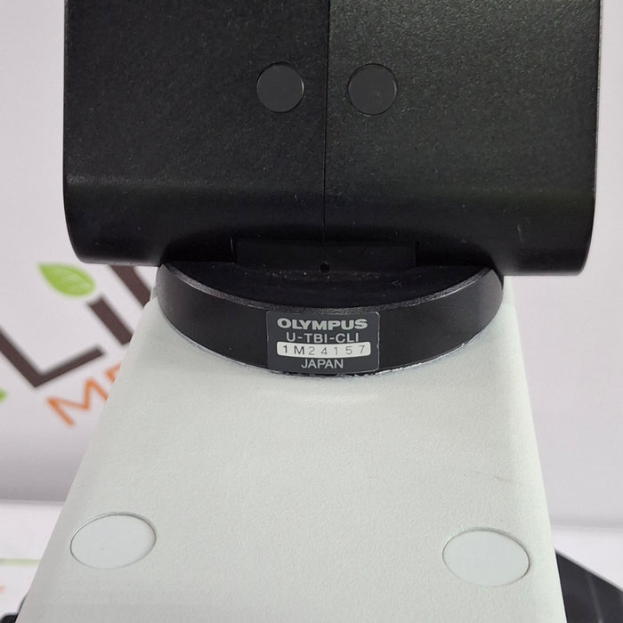 Olympus BX41TF Binocular Microscope