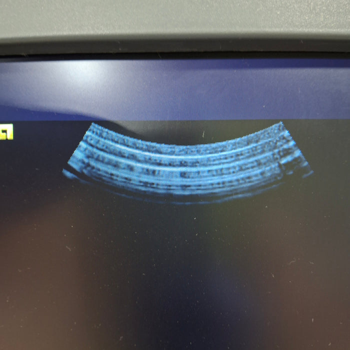 Siemens 4C1 Curved Transducer