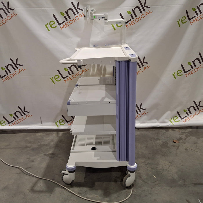 Olympus WM-DP1 Mobile Endoscopy Workstation Cart