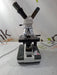 Unico Unico Binocular Lab Microscope Lab Microscopes reLink Online