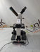 Unico Unico Binocular Lab Microscope Lab Microscopes reLink Online