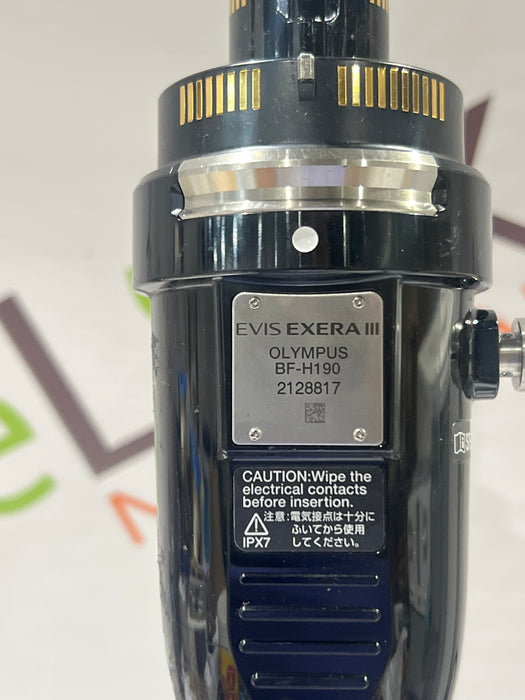 Olympus BF-H190 Evis Exera III Video Bronchoscope
