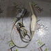 Samsung Samsung EVN4-9 Endocavity Transducer Ultrasound Probes reLink Online