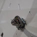 StarTrol StarTrol 4X4-GS1 Ceiling Mounted Light Surgical & Exam Lights reLink Online