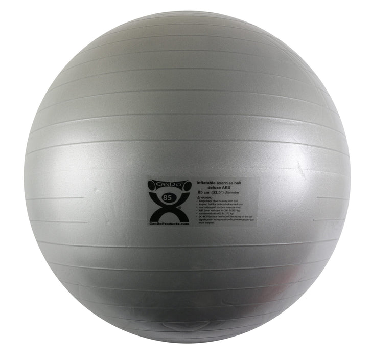 Performance Health Performance Health 081083609 Standard Exercise Ball 85cm / Silver Supplies reLink Medical