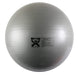 Performance Health Performance Health 081083609 Standard Exercise Ball 85cm / Silver Supplies reLink Medical
