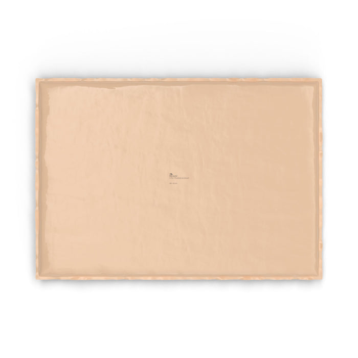 Molnlycke Health Care US, LLC Molnlycke Health Care US LLC 1401005 Large Positioner Supplies reLink Medical