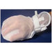Medi-Tech International Corp Medi-Tech International Corp MTRM284 Adult Mitts Essential Secure Supplies reLink Medical