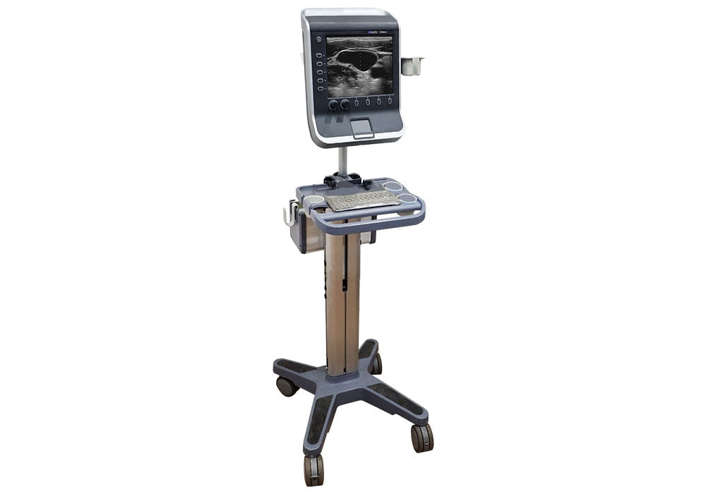Fujifilm SonoSite Stand, S-Nerve,S-CATH,S-Fast,S-ICU P