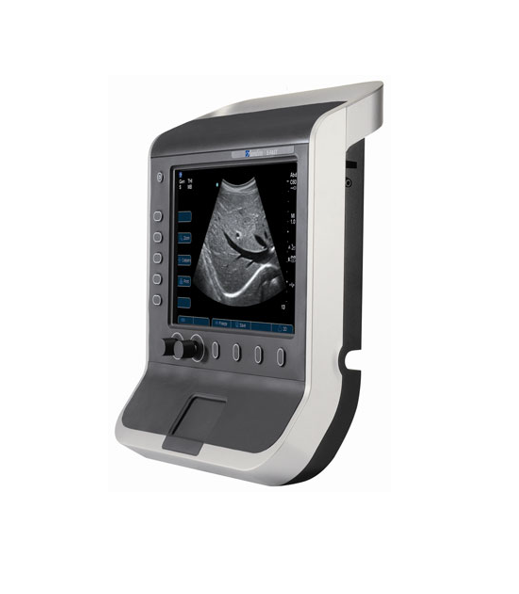 Fujifilm SonoSite S-FAST Ultrasound Machine P07578