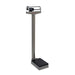 Detecto Detecto 337S Physician's Scale Stainless Steel Weigh Beam 400 lb X Scales reLink Medical