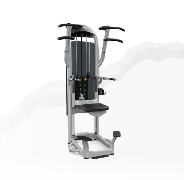 Matrix Fitness Matrix Fitness G3-S60_7 Aura Dip/Chin Assist  Medical Fitness and Rehab Equipment reLink Medical