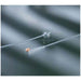 Bard Medical Bard Medical 166822 Foley Catheter Uncoated Silicone 2-Way 22 FR Supplies reLink Medical