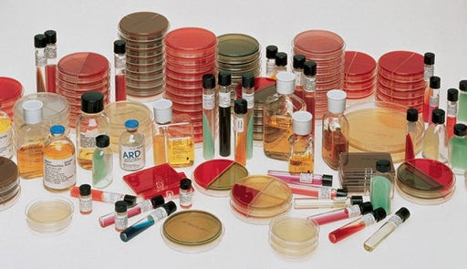 Becton Dickinson (BD) BD 221021 Selenite-F broth 8 ml  Salmonella Enrichment Supplies reLink Medical