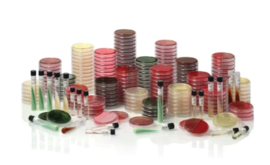 Becton Dickinson (BD) BD 296266 BBL LIM Broth 5ml Tube Supplies reLink Medical