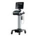 Fujifilm Fujifilm SonoSite Vet Service Asssembly X-Porte Engine CW Ultrasound reLink Medical