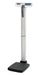 Pelstar LLC/Health o meter Professional Scales Health O Meter Professional Scales B3823601-0 Right Ramp Supplies reLink Medical