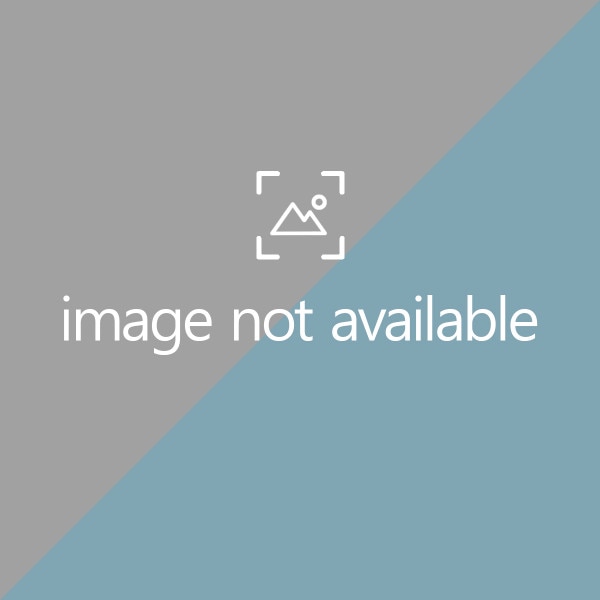 SS Medical Products SS Medical Products 78003-4C Dermal Curette 3.0 mm Sea Green Surgical Instruments reLink Medical