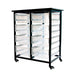 Luxor Luxor MBS-DR-8L-CL Mobile Bin Storage Unit Double Row 6" Deep Large Supplies reLink Medical