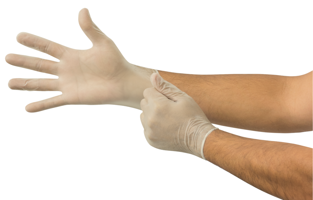 Ansell Ansell 525431 PVC Glove Small Powder-Free 100/bx 10 Supplies reLink Medical