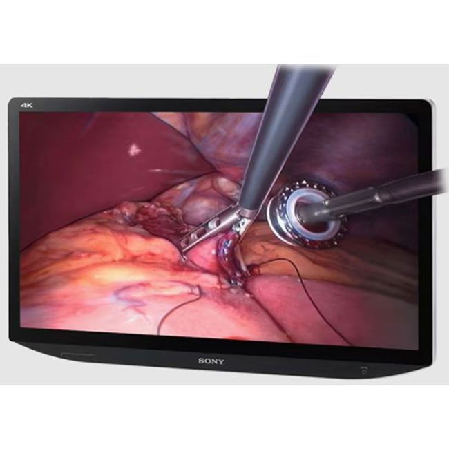 Sony LMDXH550MT 55" 4K 3D/2D LCD Medical Monitor, Dual AC/DC Power