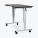 Luxor Luxor STANDCF60-AG/BO Crank Stand Up Desk 60" Single Column Supplies reLink Medical