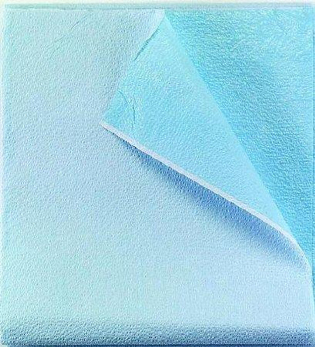 TIDI Products, LLC TIDI Products LLC 980925 Drape/ Stretcher Sheet Tissue/ Poly 40" x Supplies reLink Medical