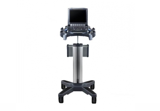 Fujifilm SonoSite Stand, M-Turbo