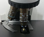 Nikon Nikon Microscope Eclipse E400 with 2X Objective Lab Microscope reLink Medical