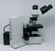 Olympus Olympus Microscope BX51 with Trinocular Head Pathology / Mohs Lab Microscope reLink Medical